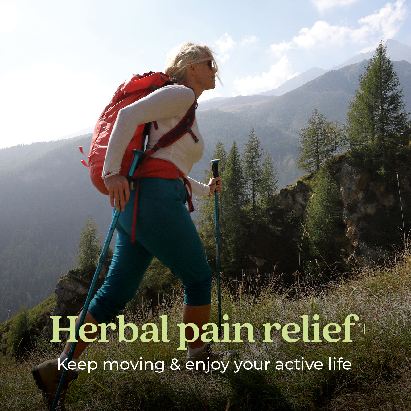 Herbal pain relief