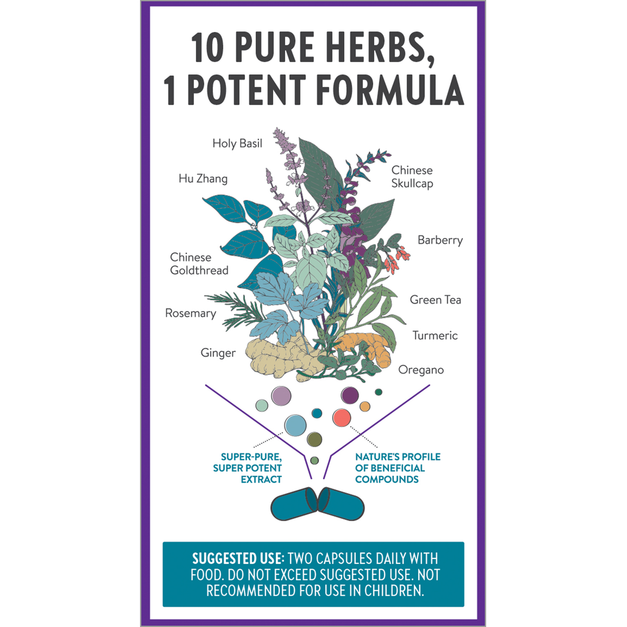 10 pure herbs in 1 potent formula